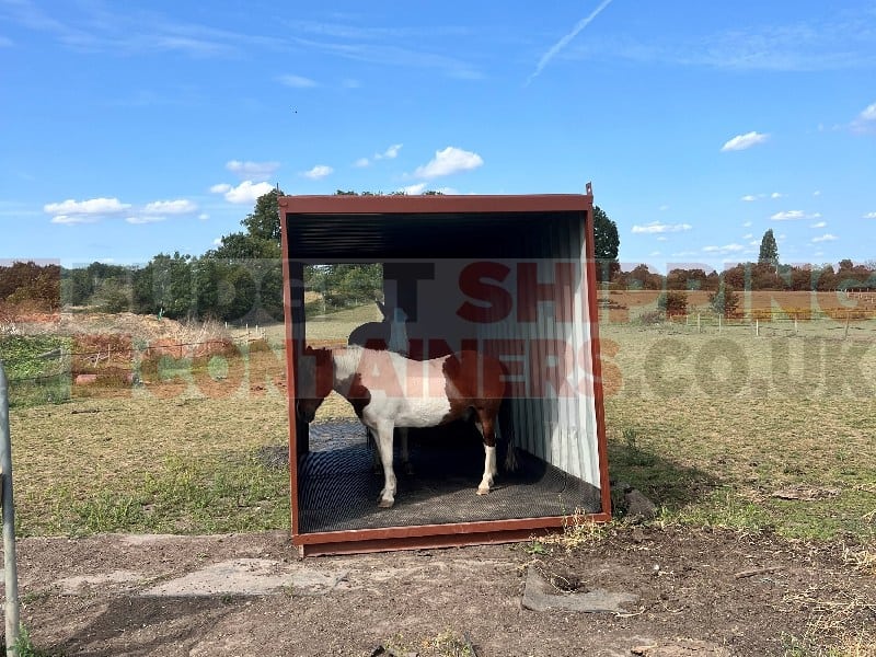 Horse stood inside container on a field